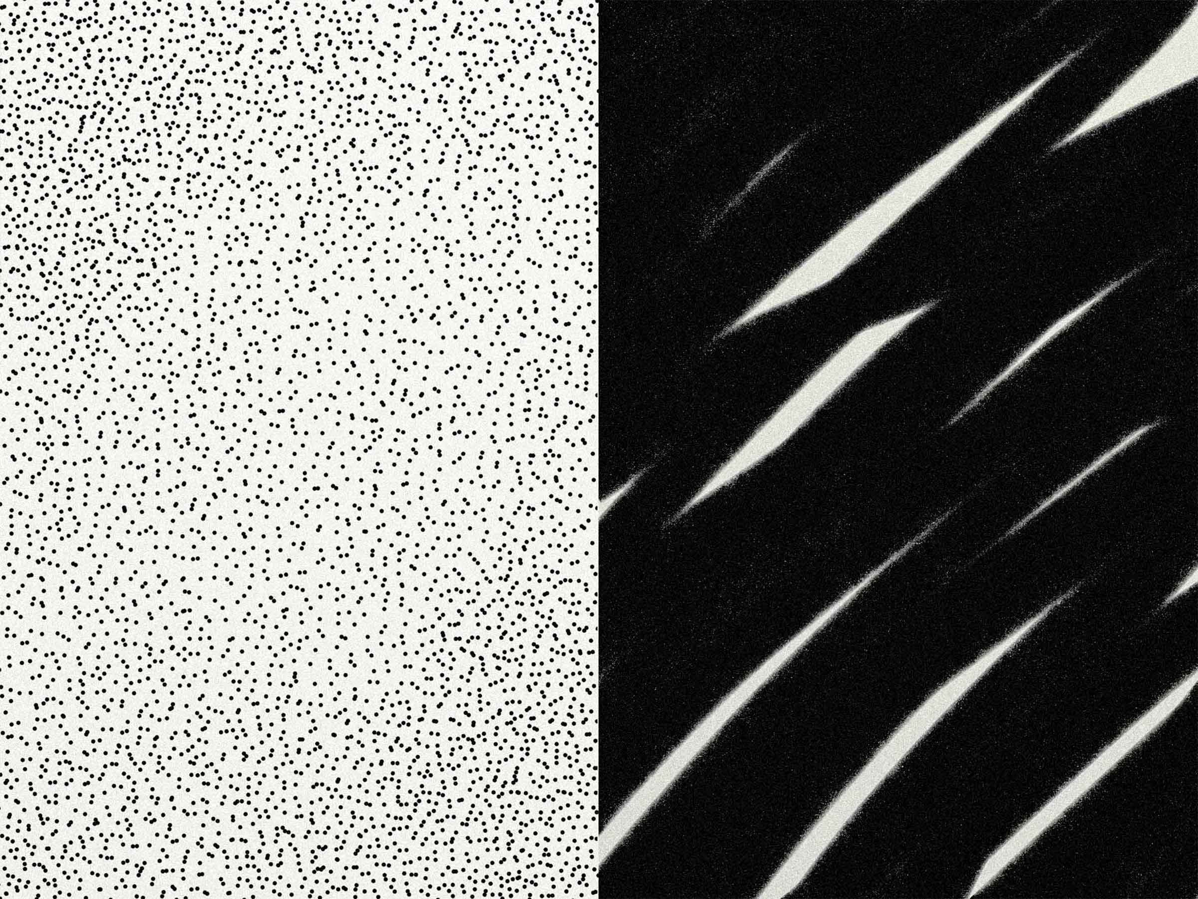 13-Projekt-Nebel-Bildgalerie-13