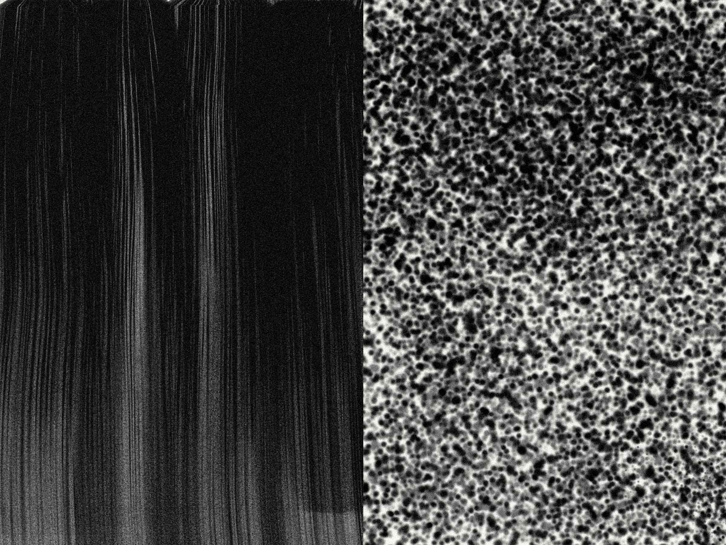 13-Projekt-Nebel-Bildgalerie-14