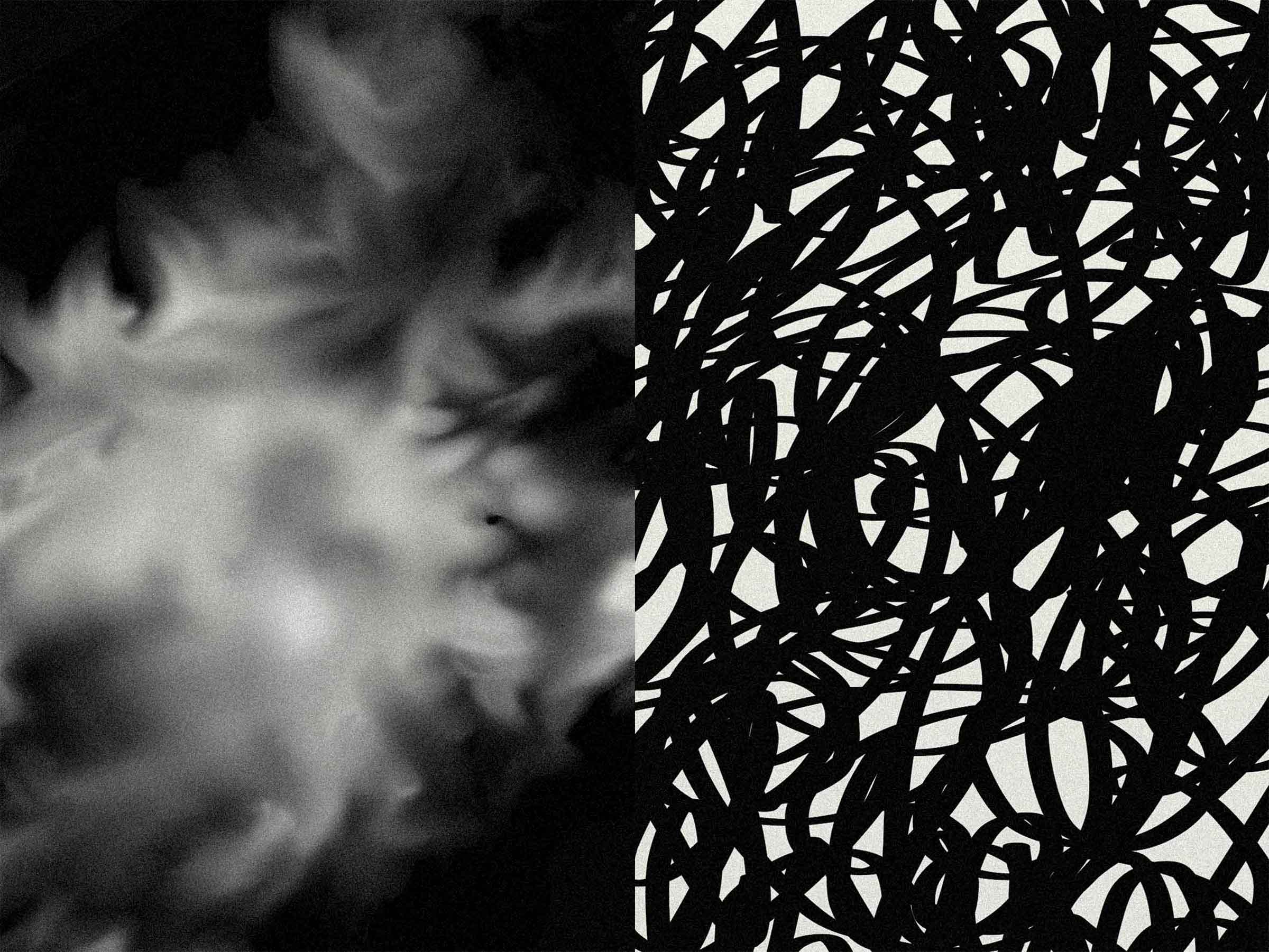 13-Projekt-Nebel-Bildgalerie-16