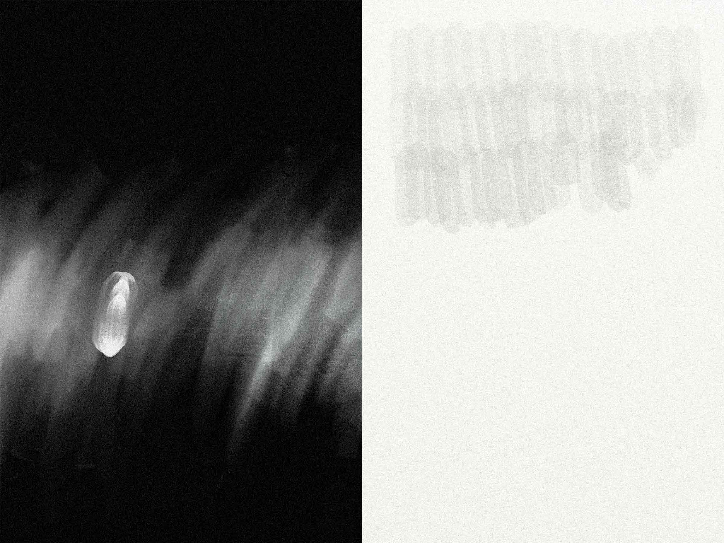 13-Projekt-Nebel-Bildgalerie-17