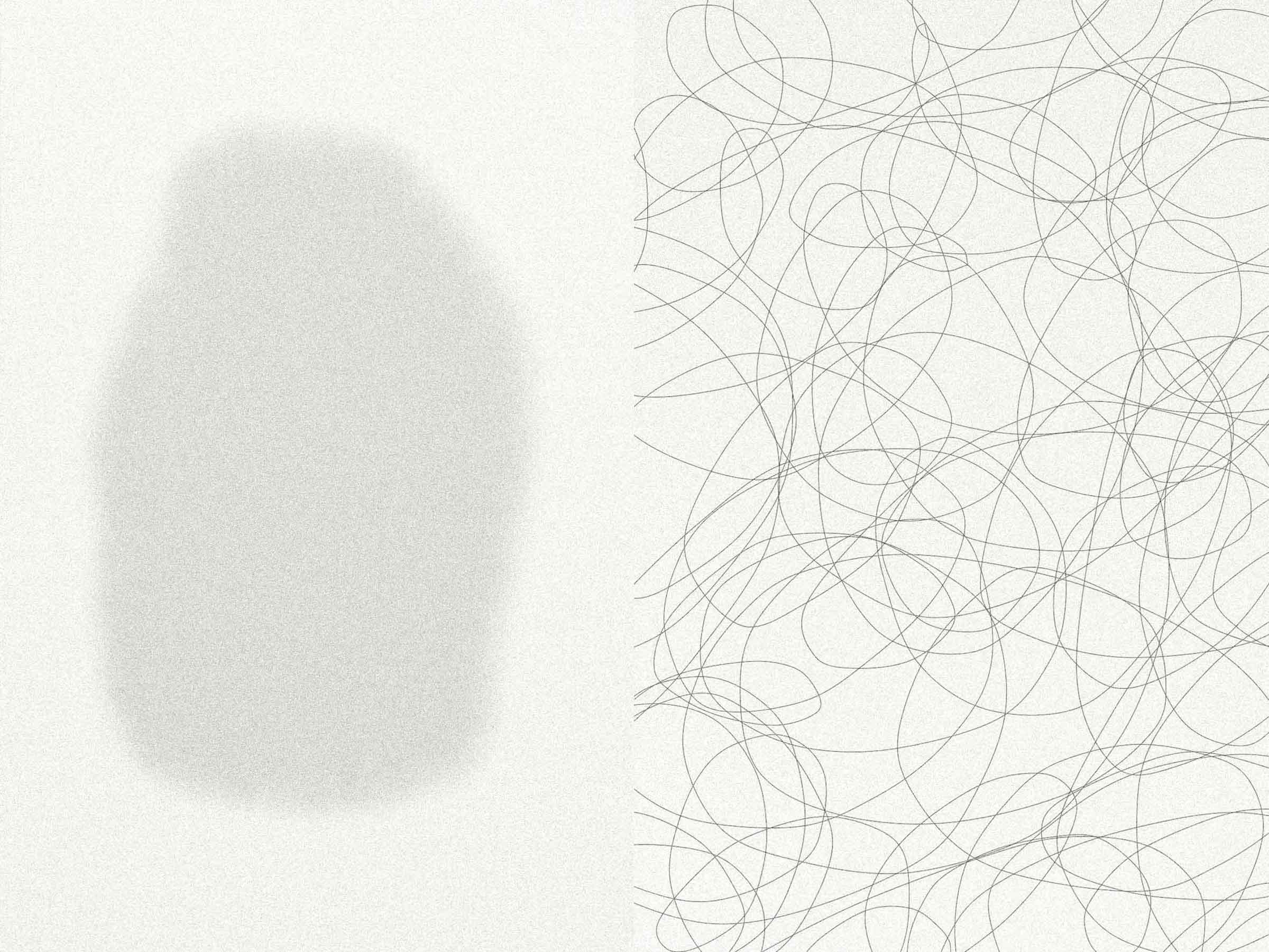 13-Projekt-Nebel-Bildgalerie-2