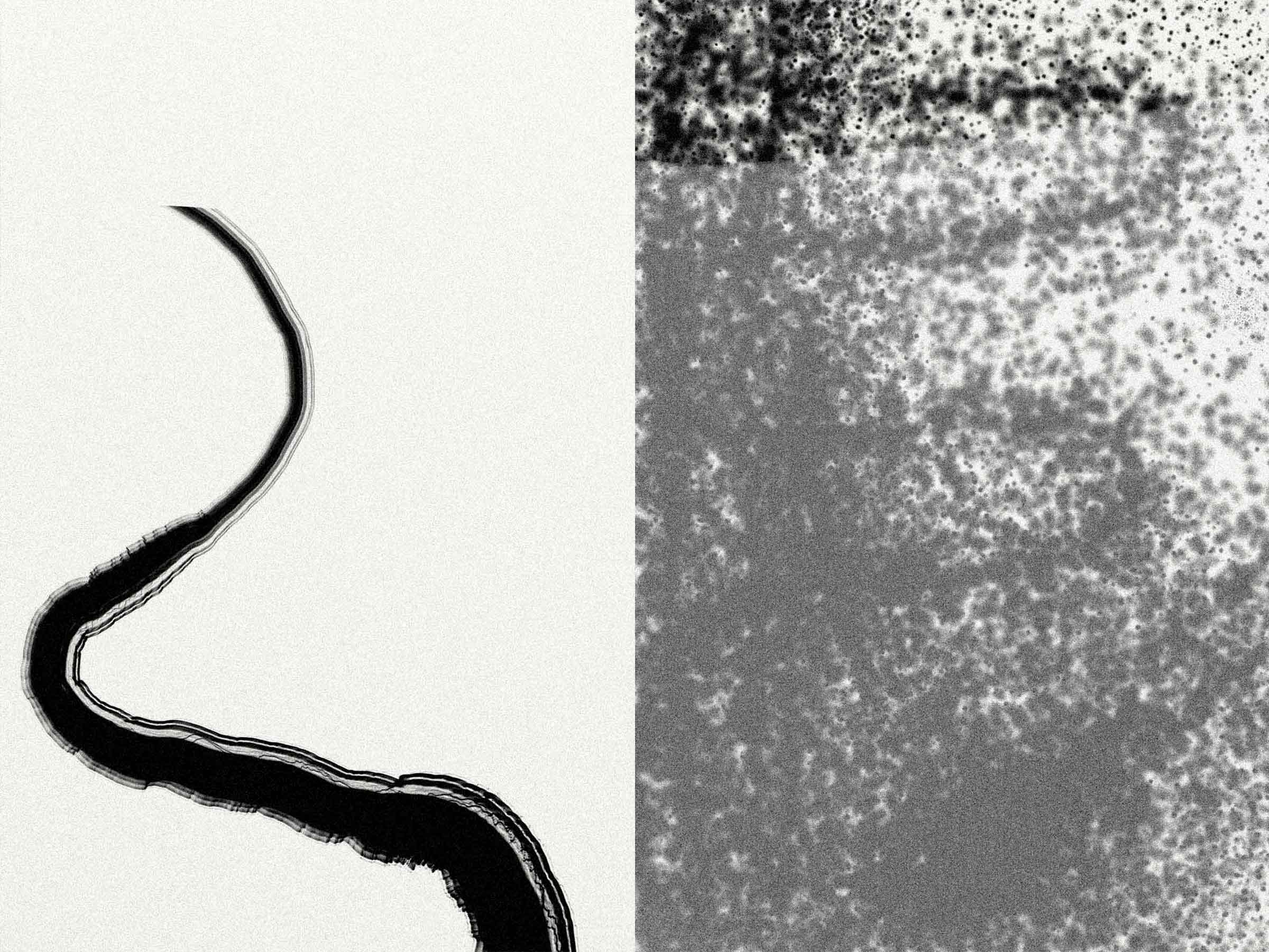 13-Projekt-Nebel-Bildgalerie-4