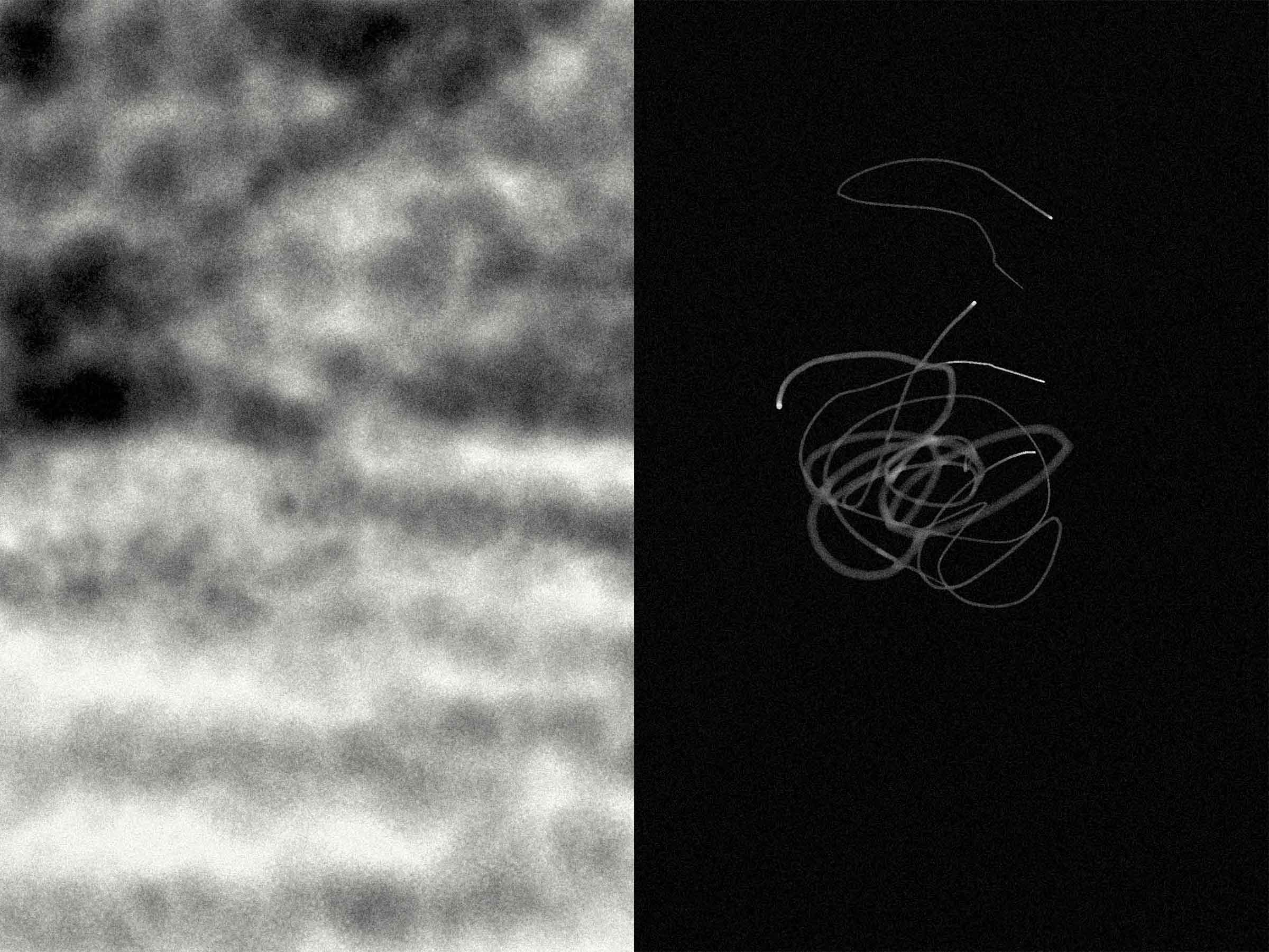 13-Projekt-Nebel-Bildgalerie-5